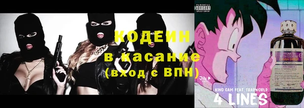 бошки Анива
