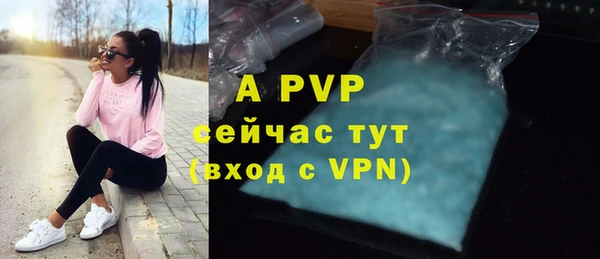 apvp Аша