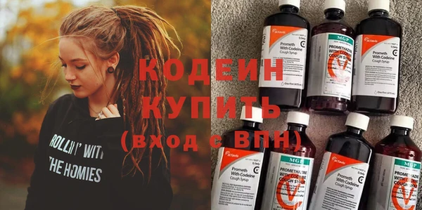 apvp Аша