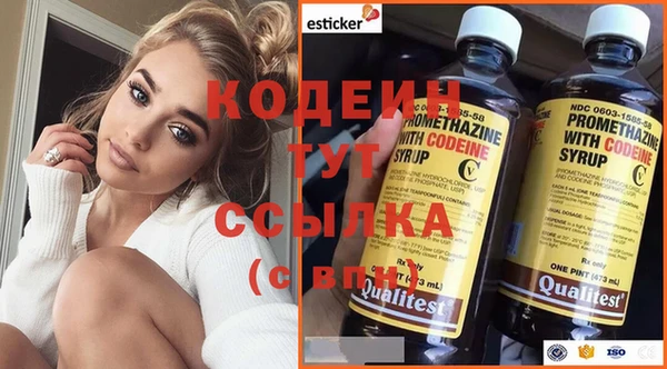 apvp Аша