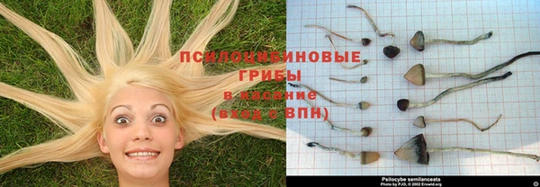 кокаин Анжеро-Судженск