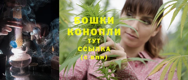 бошки Анива