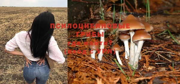 МДПВ Бабаево