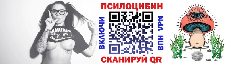 купить наркоту  Инсар  Псилоцибиновые грибы Magic Shrooms 